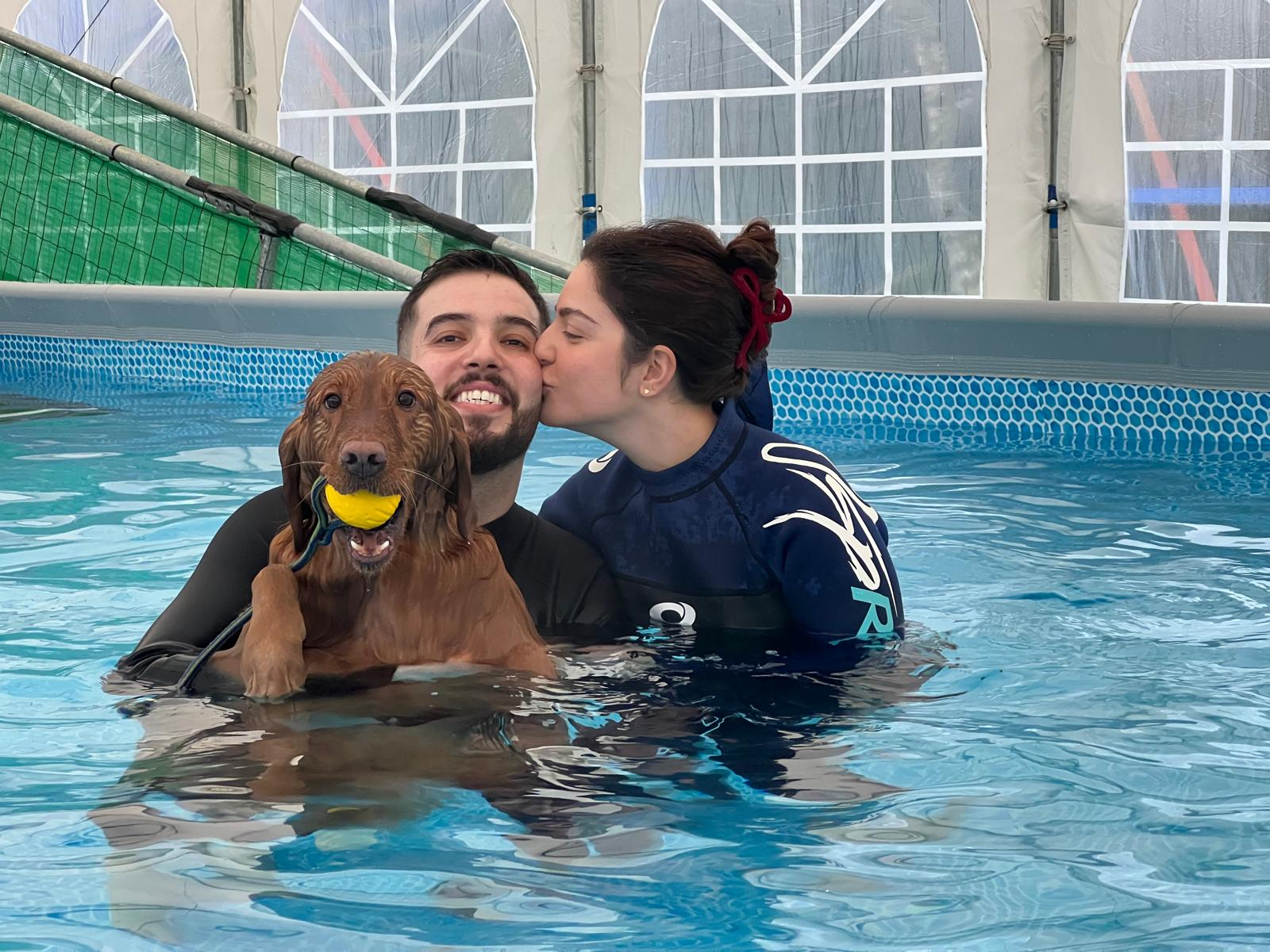 Happy labrador swimming in the heated indoor dog swimming pool at West Lancs K9 Splash & Hydro in Lancashire