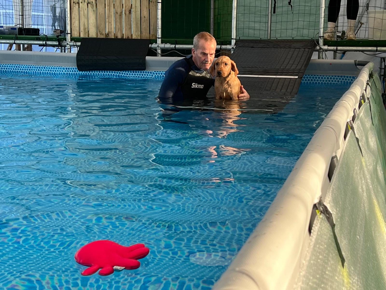 Swim Coach Session - dog swimming session at West Lancs K9 Splash