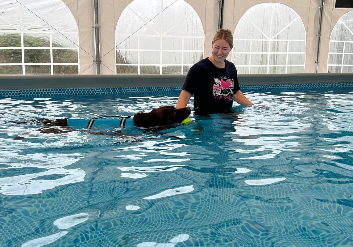 Staff member helping a dog swim in the pool