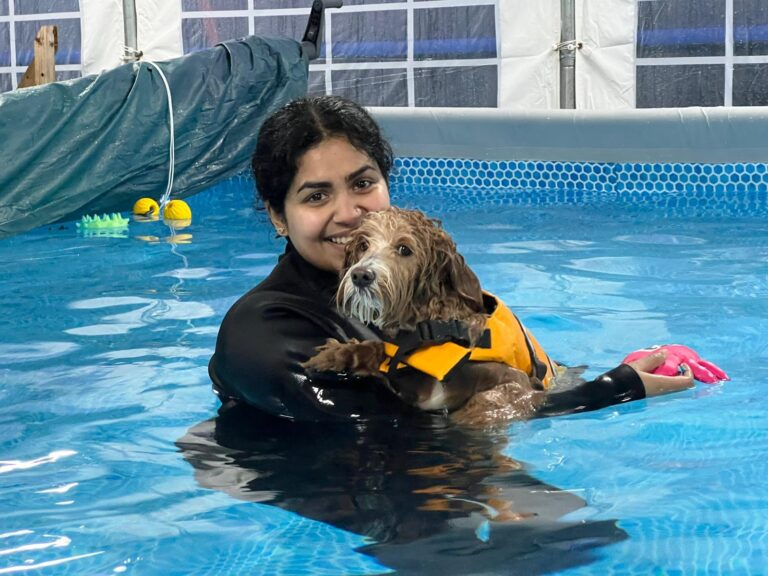 Owner In Pool Session - dog swimming session at West Lancs K9 Splash